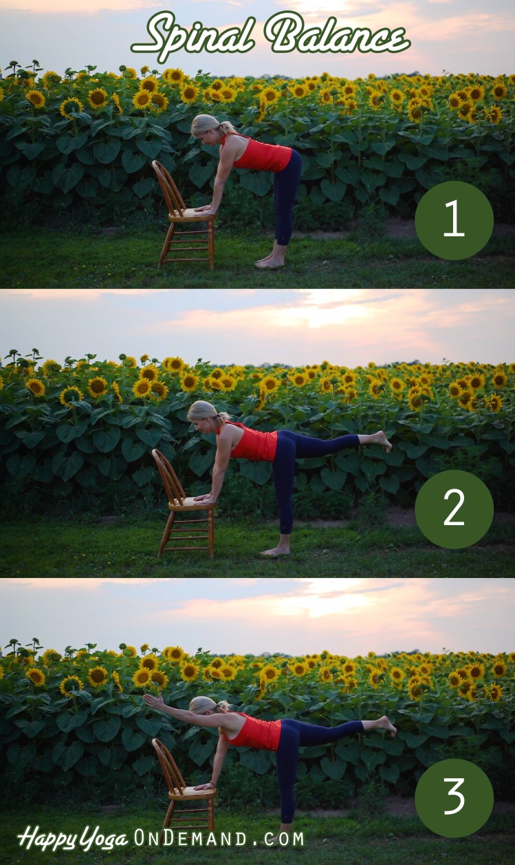 Spinal Balance_Sequence
